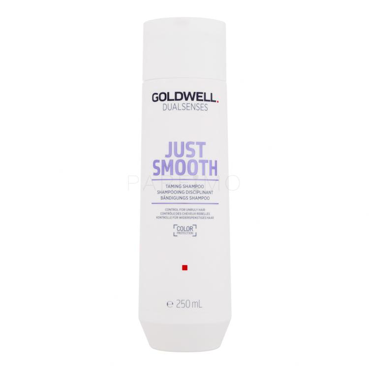 Goldwell Dualsenses Just Smooth Shampoo für Frauen 250 ml