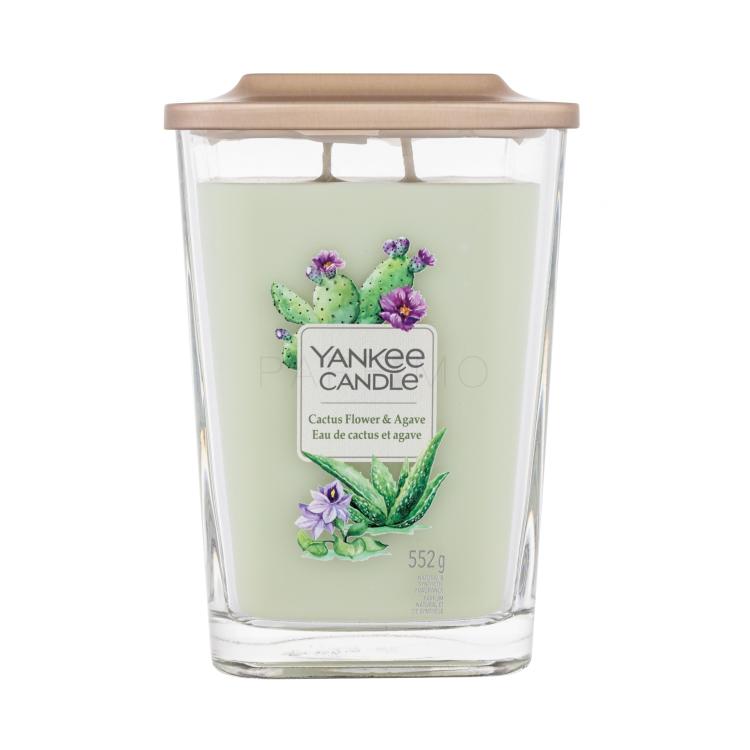 Yankee Candle Elevation Collection Cactus Flower &amp; Agave Duftkerze 552 g