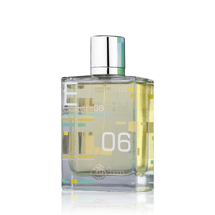 Fragrance World Esscentric Moolecules 06 Eau de Parfum 100 ml
